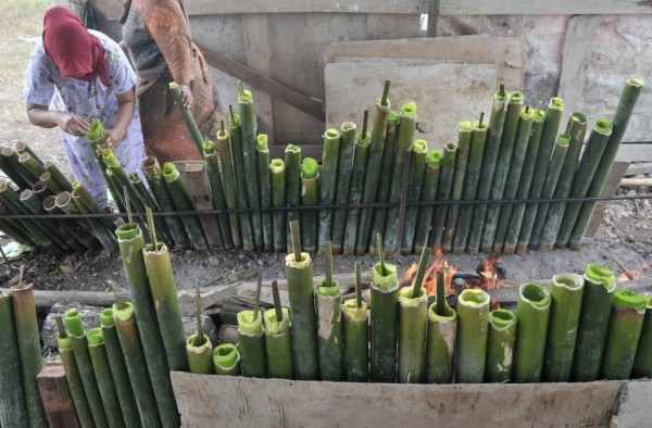 akaddo bulo yang sedang di rapihan dan sebelum di bakar