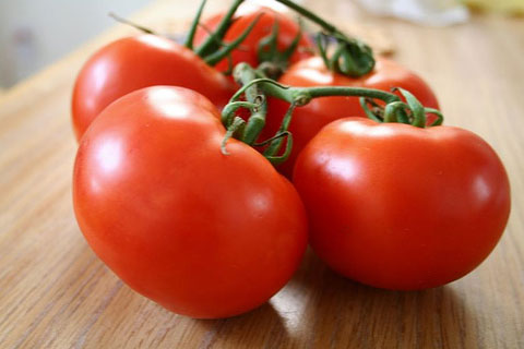 tomat sumber : huseinagrobisnis.com