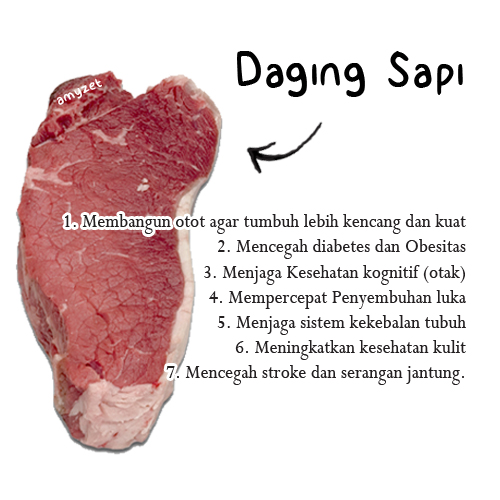 Manfaat Daging Sapi