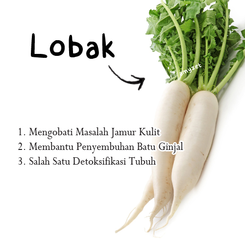 Manfaat Lobak