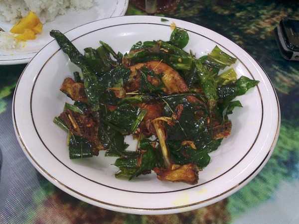 ayam tangkap