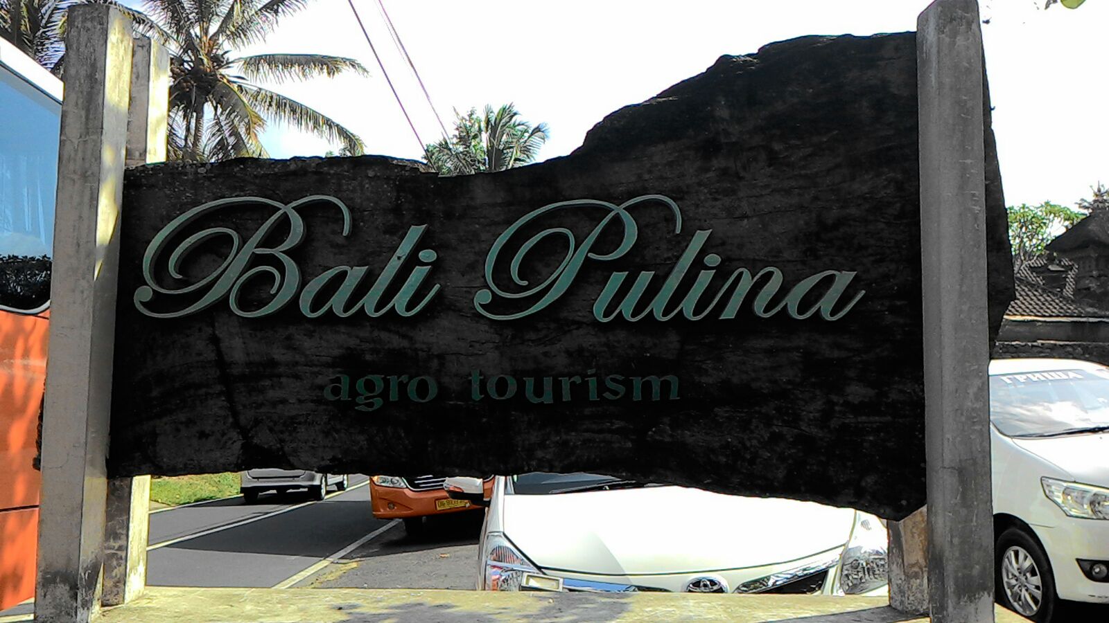 Jelajah Gizi Bali Menggali Potensi Gizi Di Bali Pulina Desa