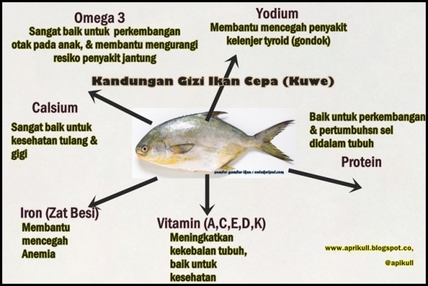 Kandungan Gizi Ikan Cepa